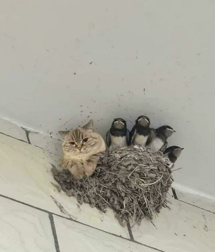 Hmmm