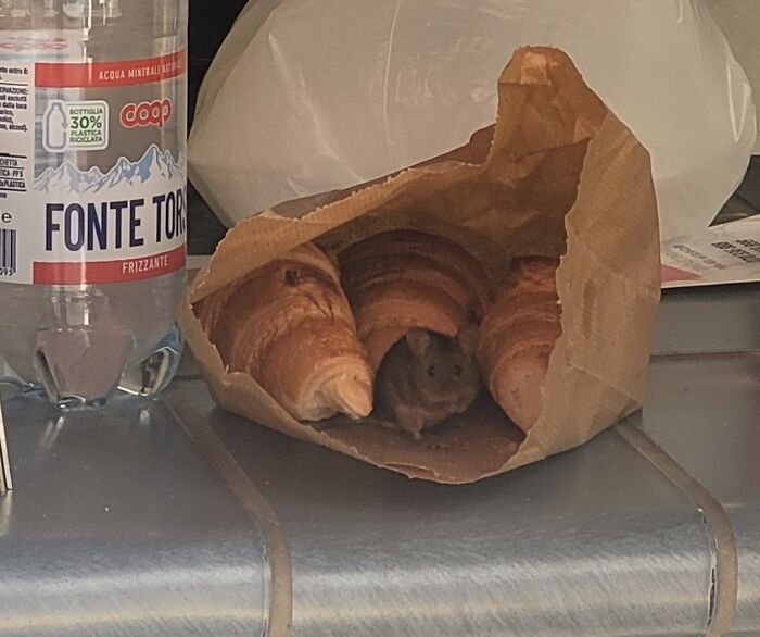 2 minutos después de comprarme el desayuno y sentarme afuera para tomármelo
