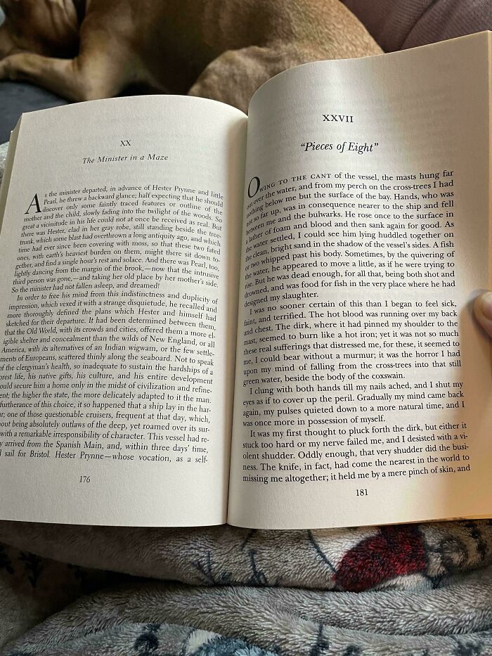Mi ejemplar de La letra escarlata se convierte en un libro diferente después de la página 176