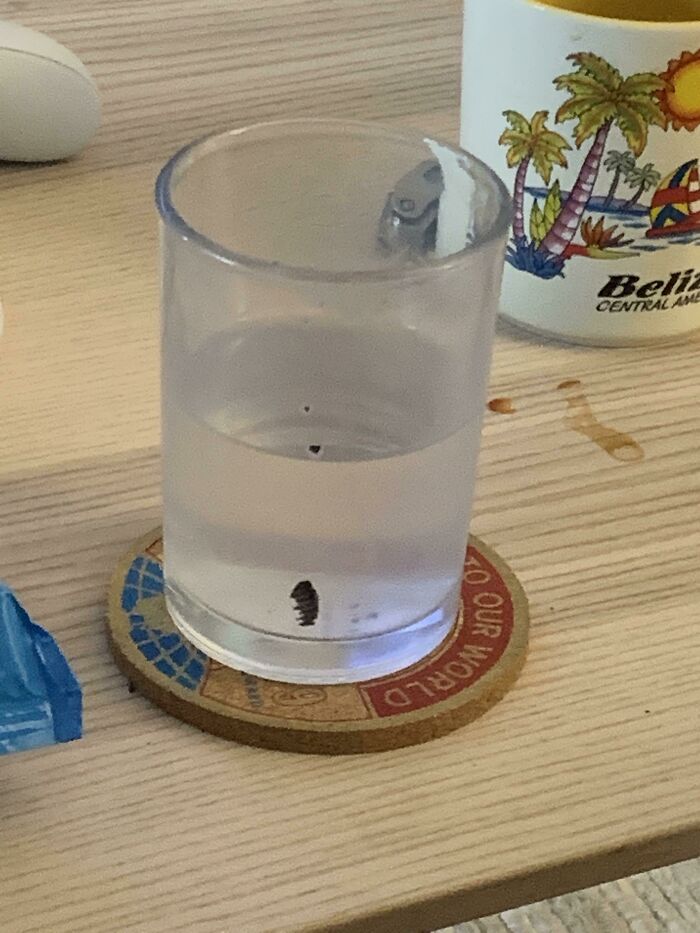 En lugar de enjuagar su taza cada vez que bebe, mi novio la rellena con lo que sea porque «se le mezcla en el estómago». En la foto está su vaso de «agua» después de leche y Oreos