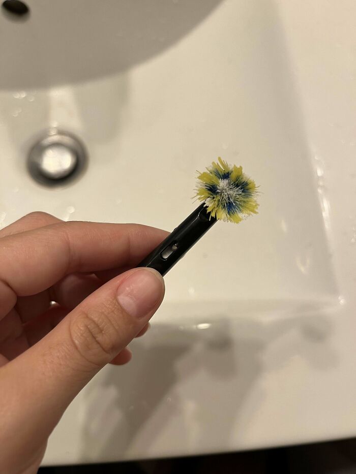 Según mi novio, no necesita otro cepillo de dientes