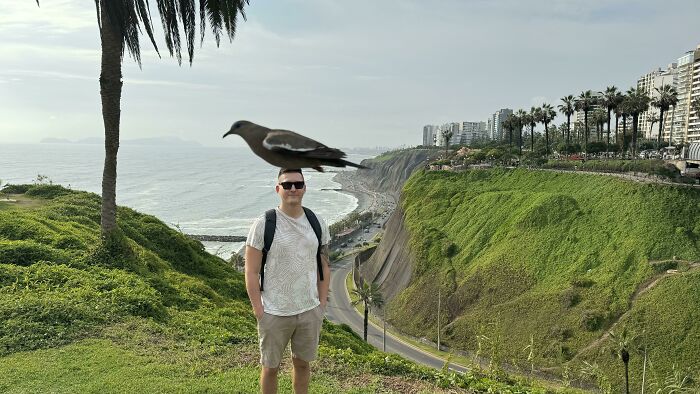Un pájaro pasó volando cuando tomábamos una fotografía. Ahora, parece que tuviera un pájaro gigante apoyado sobre mi cabeza