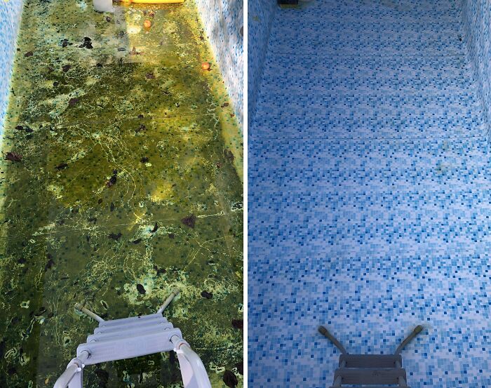 Antes y después: fotos de la piscina que limpié hoy. ¿Qué tan bien lo hice?