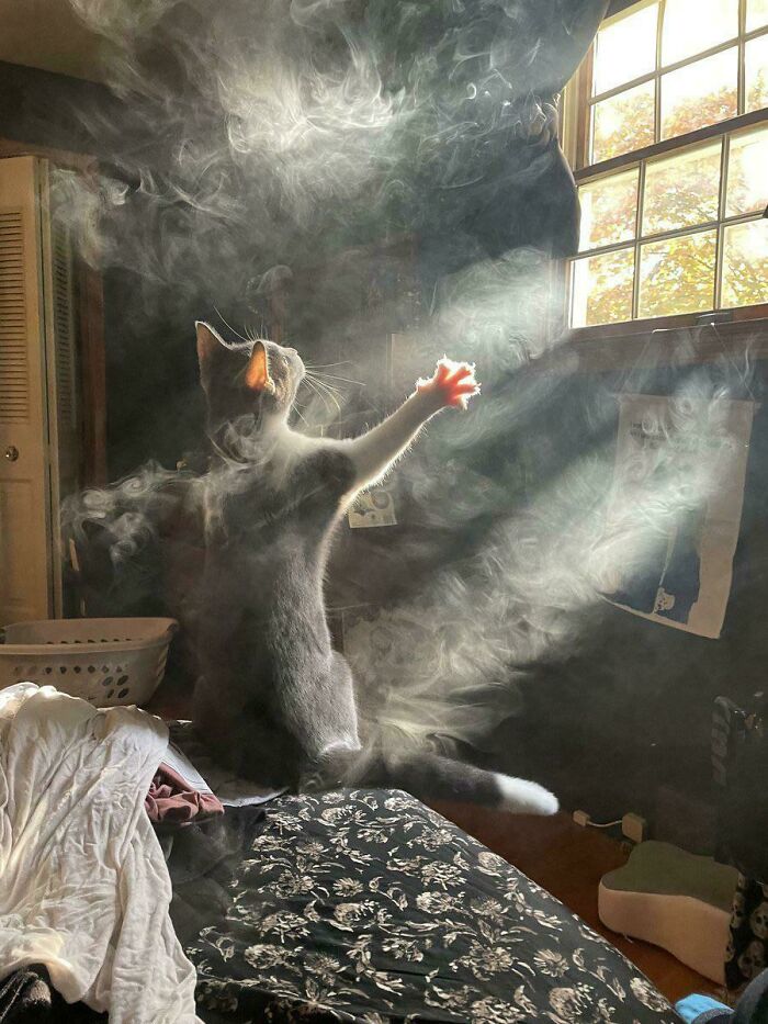Invocando demonios