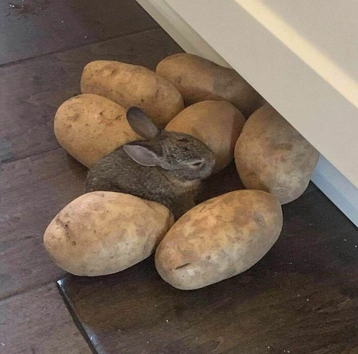 “I Want To Leave”: 50 Pics That Will Probably Make You Uncomfortable (New Pics)
