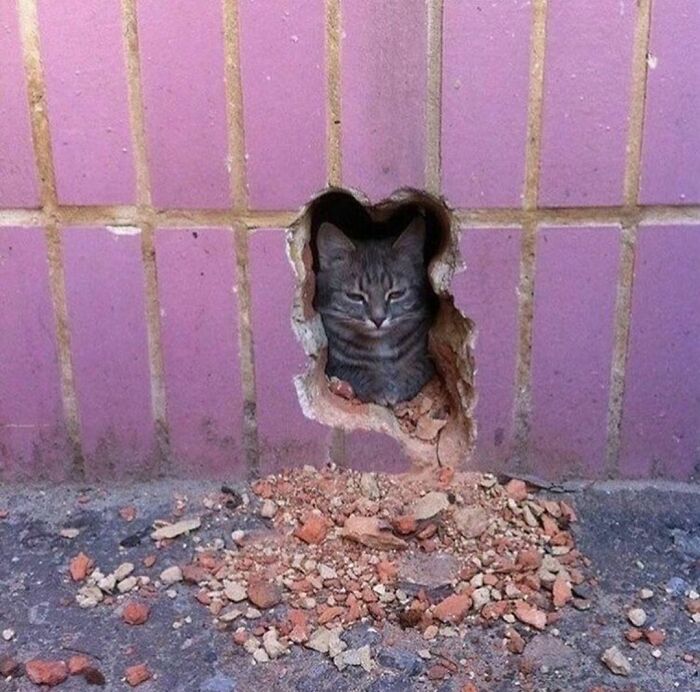 “I Want To Leave”: 50 Pics That Will Probably Make You Uncomfortable (New Pics)
