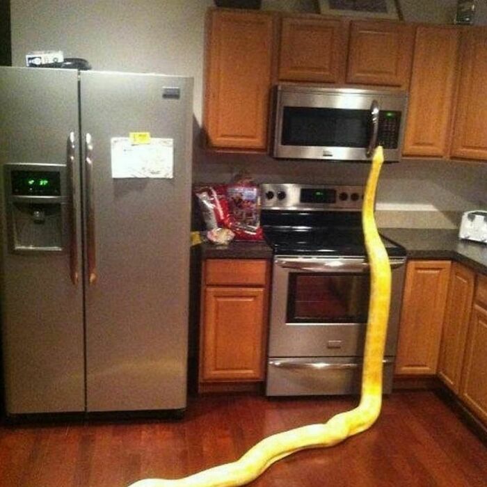 50 Of The Most Cursed Images For People Who Have A Higher Tolerance For Weirdness