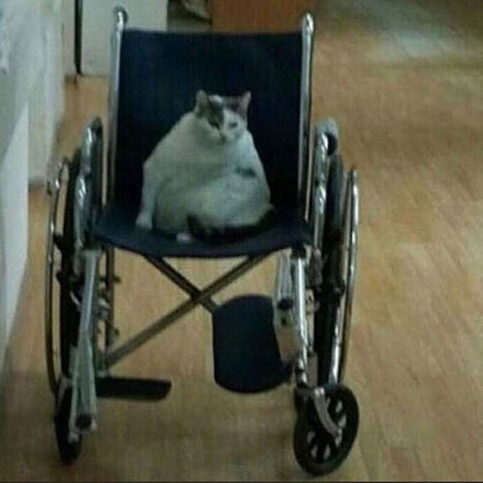 50 Of The Most Cursed Images For People Who Have A Higher Tolerance For Weirdness