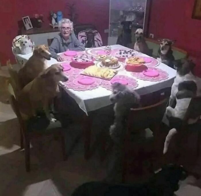 “I Want To Leave”: 50 Pics That Will Probably Make You Uncomfortable (New Pics)