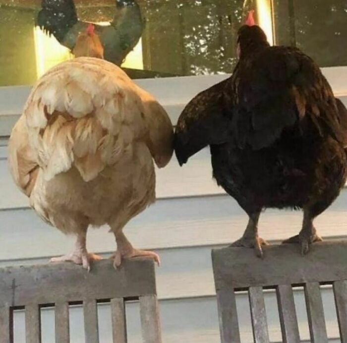 “I Want To Leave”: 50 Pics That Will Probably Make You Uncomfortable (New Pics)