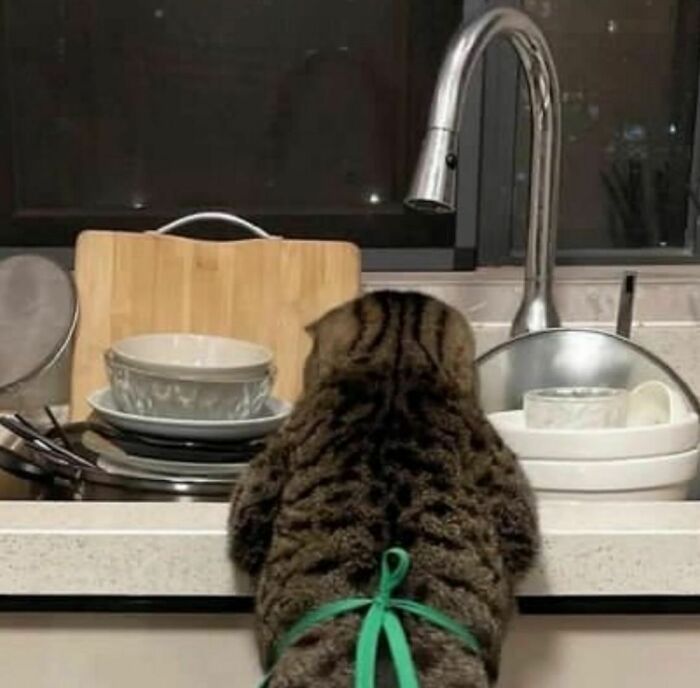 “I Want To Leave”: 50 Pics That Will Probably Make You Uncomfortable (New Pics)