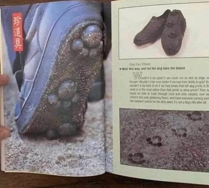 “I Want To Leave”: 50 Pics That Will Probably Make You Uncomfortable (New Pics)
