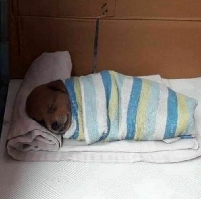 “I Want To Leave”: 50 Pics That Will Probably Make You Uncomfortable (New Pics)
