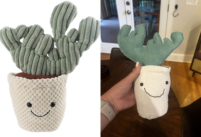 Bonito peluche de planta que pedí para mi vivero y lo que recibí en realidad
