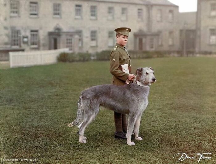 El tamborilero de la banda de la Guardia Irlandesa en el cuartel de Waterford con la mascota del regimiento, un lebrel irlandés, el 21 de febrero de 1917.