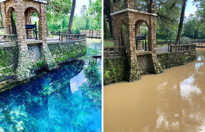 Conduje 4 horas (de ida) para ver Radium Springs, una de las maravillas naturales del estado de Georgia... Después de una intensa lluvia