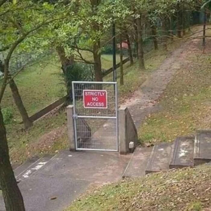 50 Signs So Ridiculous They’re Actually Brilliant, As Spotted By People Online (New Pics)