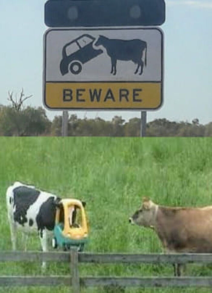 50 Signs So Ridiculous They’re Actually Brilliant, As Spotted By People Online (New Pics)