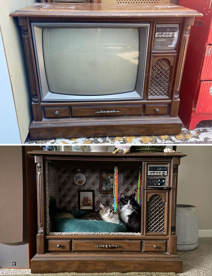 Encontré un viejo televisor de tubo en la basura. ¡Ahora mis gatos tienen un nuevo rincón!