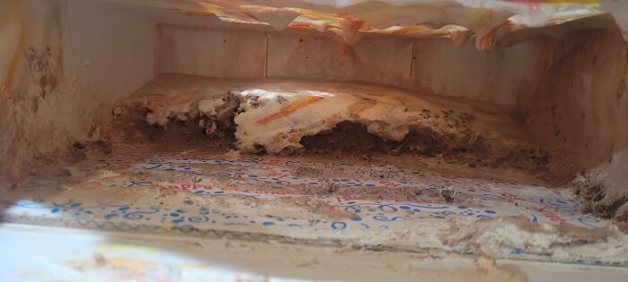 Me enviaron un pastel helado como regalo sorpresa. Esto es lo que vi cuando lo abrí