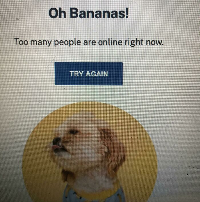 Acaba de empezar la clase online y no puedo entrar porque "hay demasiada gente online ahora mismo"