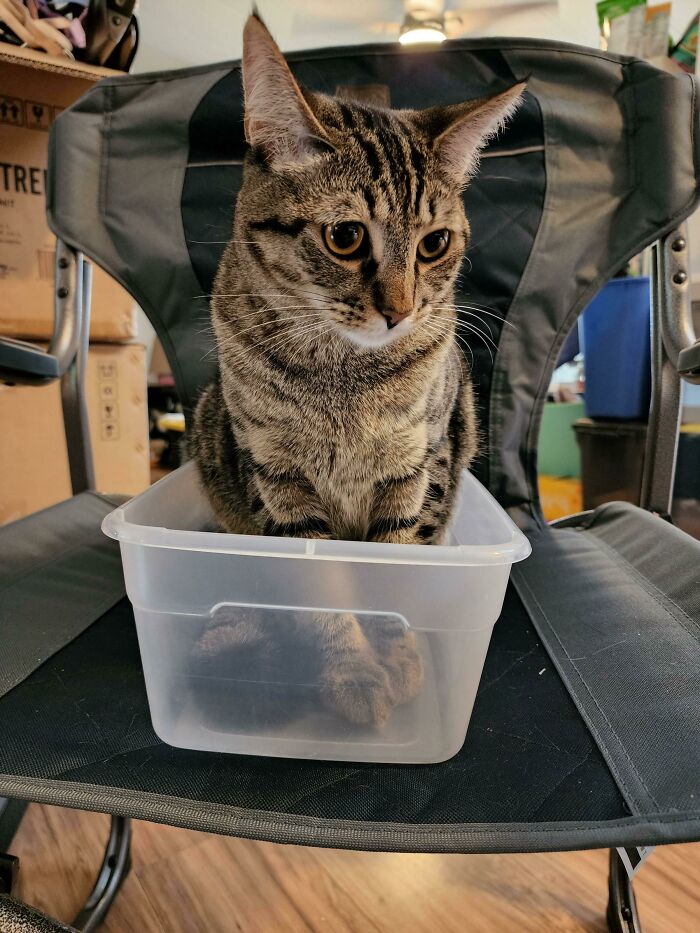 ¡Hoy es el primer cumpleaños de Henry!