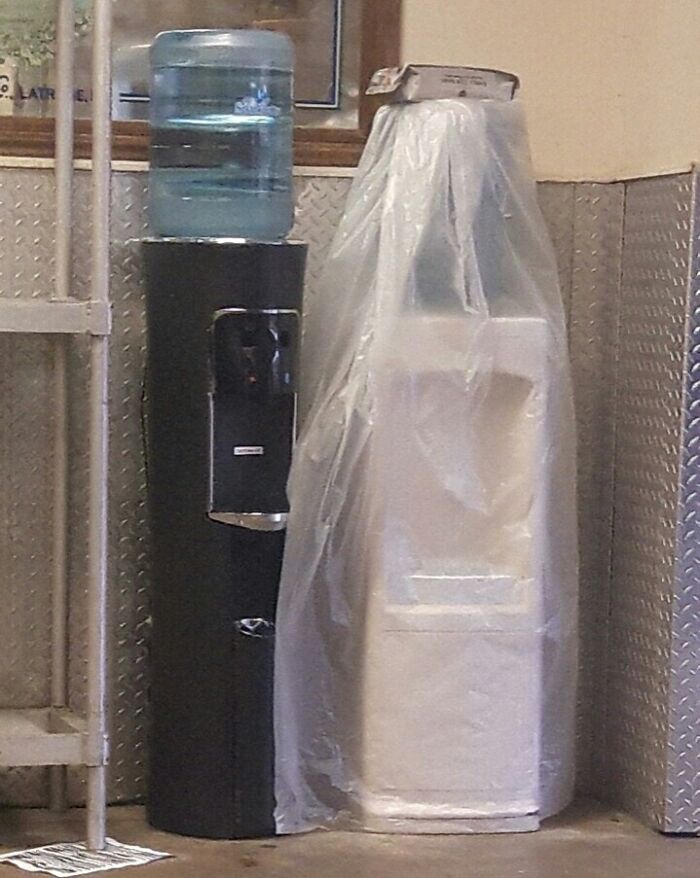 Parece que se estén casando