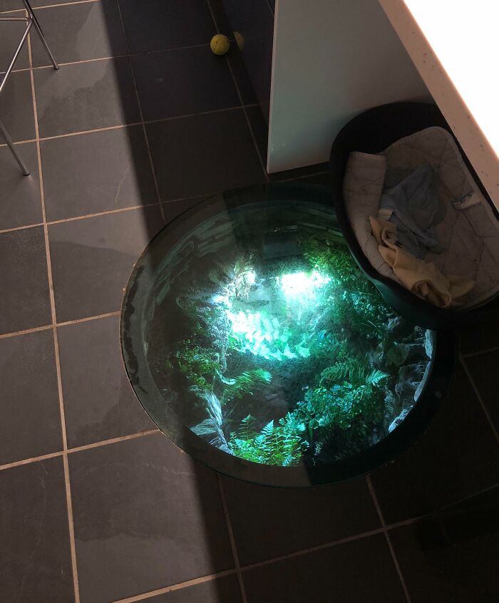 Pozo en la cocina de mis abuelos