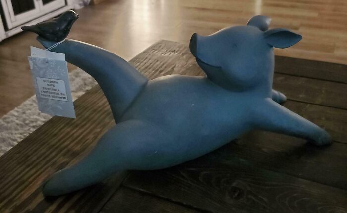 Hice que mi marido eligiera el regalo del día de la madre para su madre. Es una belleza 