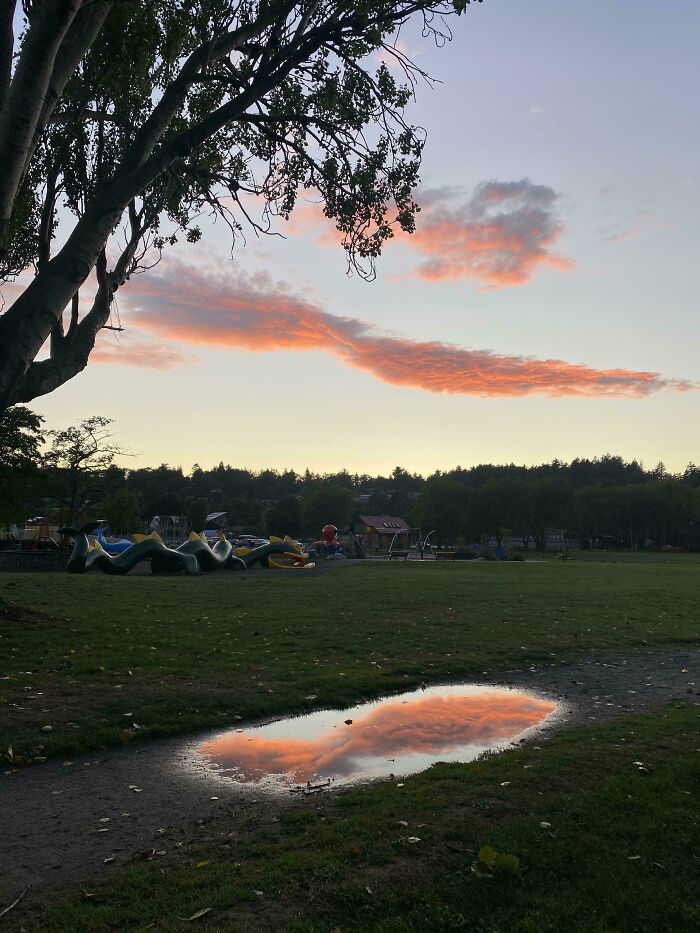 El reflejo de la nube en el charco