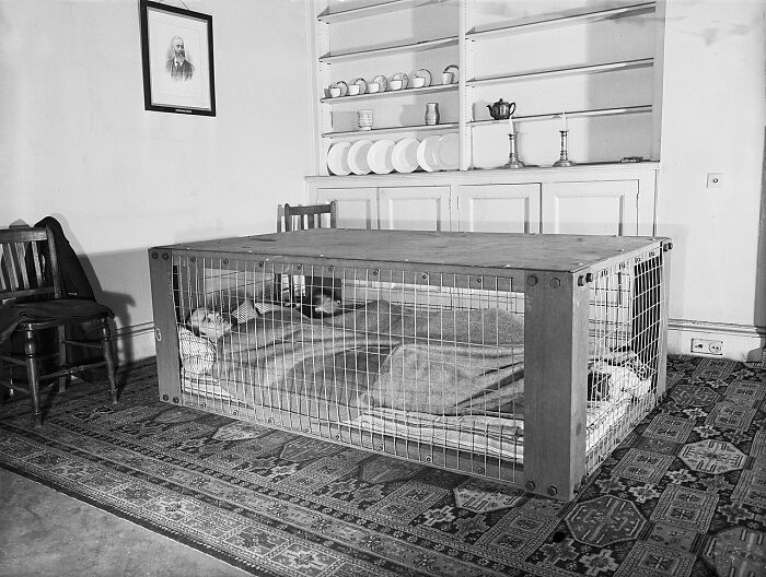 Una pareja británica duerme dentro de un “Refugio Morrison”, el cual se usaba como protección ante el colapso de casas debido al bombardeo “Blitz” durante la Segunda Guerra Mundial… Marzo, 1941