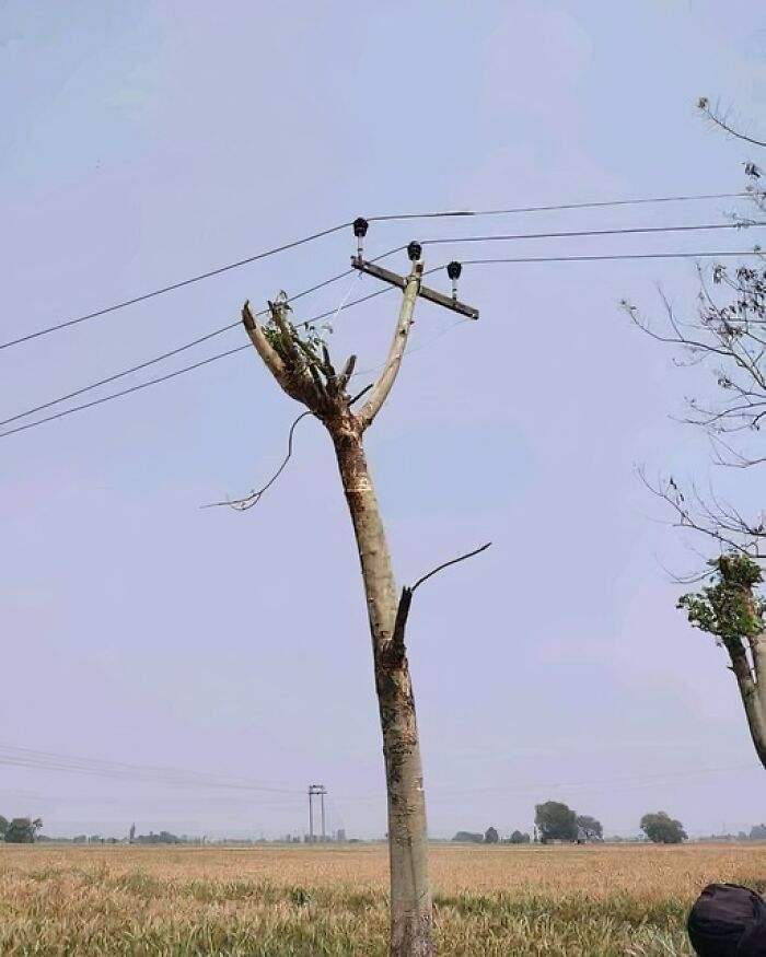 50 Examples Proving That Not All Engineers Are That Smart