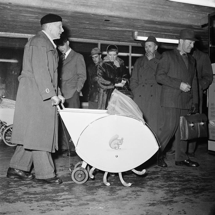 El doctor Vilhelm Irgens Pettersson mostrando su nuevo invento: un cochecito para bebés con el que se podía subir escaleras. 26 de noviembre de 1956