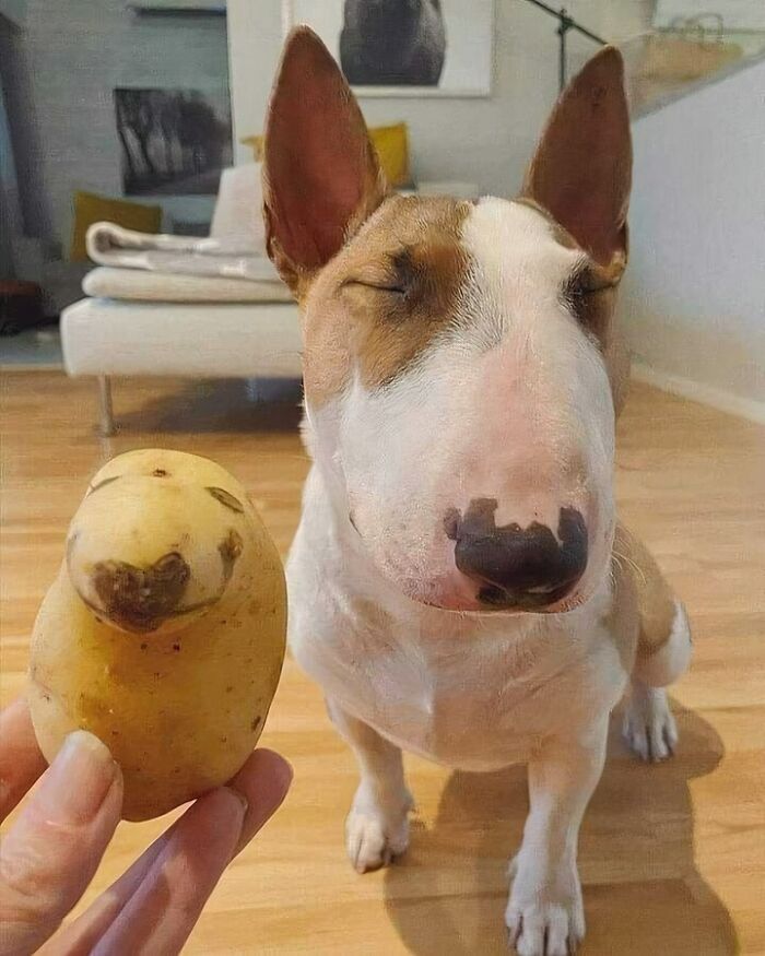 50 ‘Blessed Images’ That May Turn Your Day Around For The Better (New Pics)