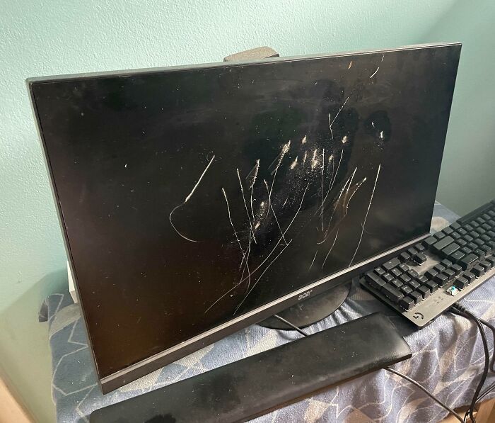Mi mamá tomó mi monitor