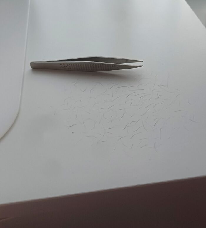 Mi hermana se depiló con una pinza los vellos de las rodillas porque, según ella, “son demasiado difíciles de afeitar”, y luego los dejó sobre mi escritorio