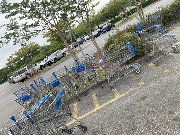 Devolved los malditos carros