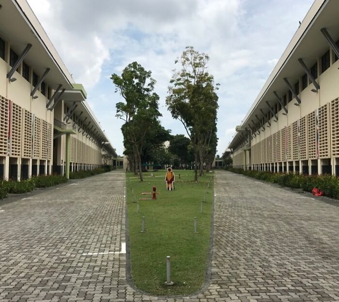 La zona con césped parece estar dentro de un vaso