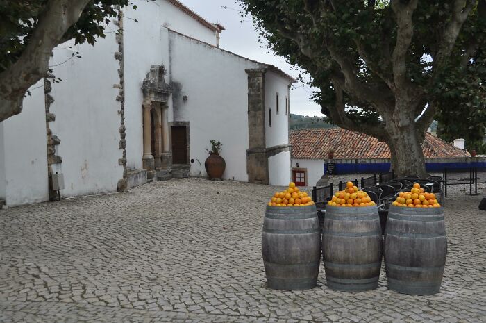 Parece que los barriles de naranjas han sido photoshopeados ahí
