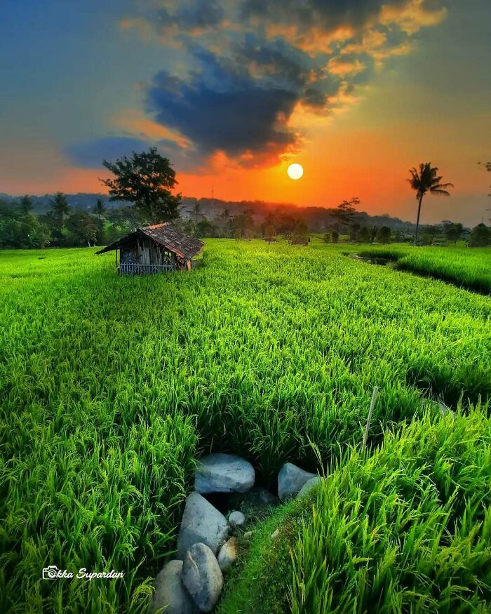 34 Vibrant And Authentic Photos Of Indonesia’s Daily Life Captured By A Local Photographer