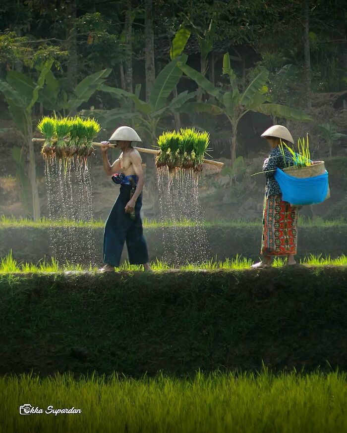 34 Vibrant And Authentic Photos Of Indonesia’s Daily Life Captured By A Local Photographer