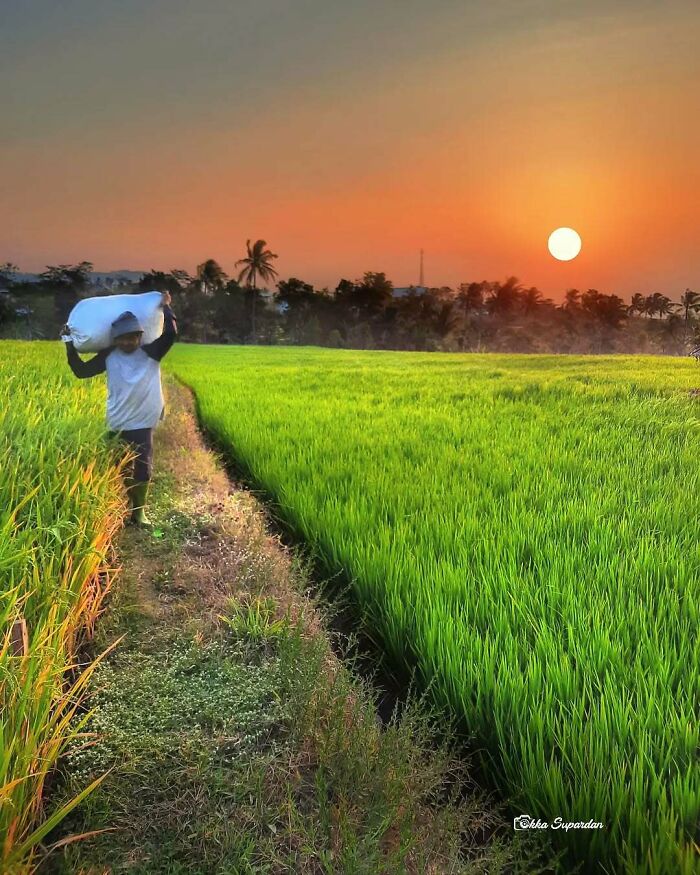 34 Vibrant And Authentic Photos Of Indonesia’s Daily Life Captured By A Local Photographer