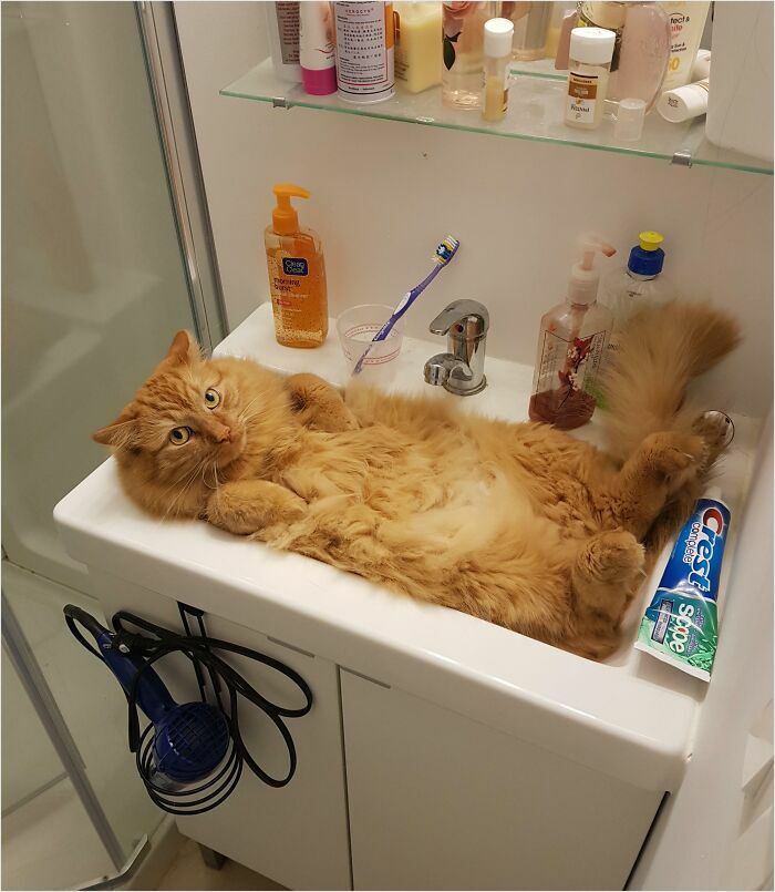 Cabe bien en el lavabo