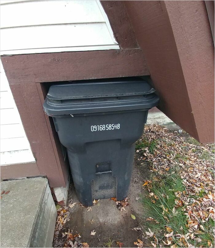 El cubo de basura en mi entrada