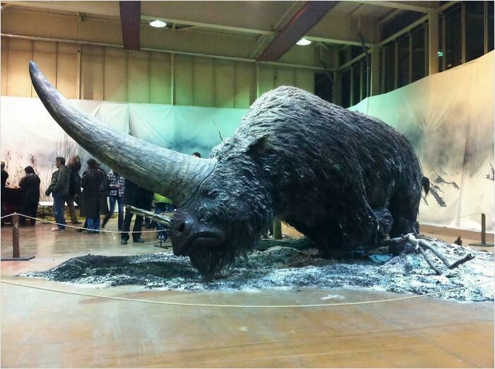 Un gran unicornio peludo que existió hace 29.000 años