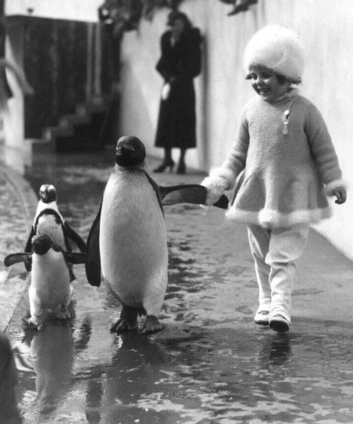 Cómo mejorar un paseo por el parque, 1937