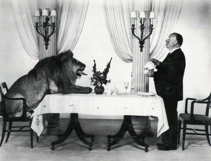 Alfred Hitchcock sirviendo té a Leo el León, mascota de MGM, 1958
