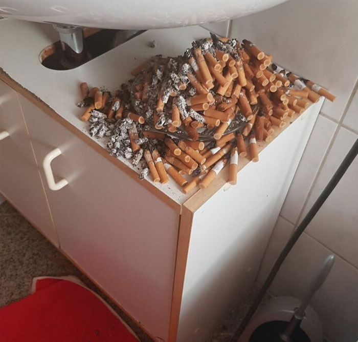 Mis padres son la razón por la que odio el tabaco. Y no lo limpian nunca