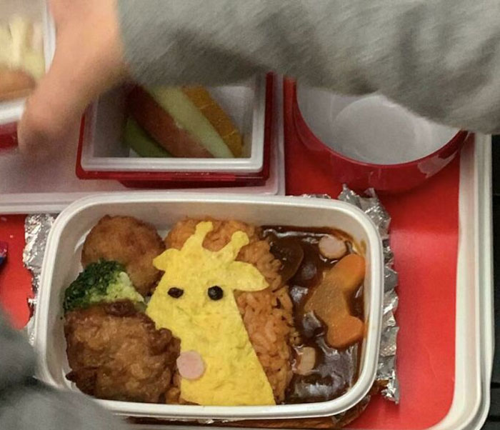 El almuerzo de mi hijo en una aerolínea japonesa