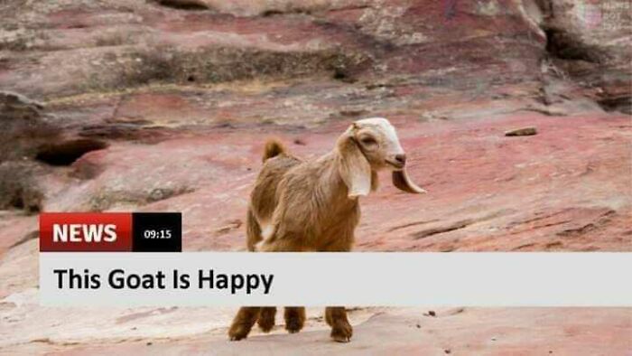 50 ‘Blessed Images’ That May Turn Your Day Around For The Better (New Pics)